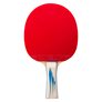 Paleta De Ping - Pong Pro 4000