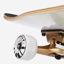 Skateboard Firefly SKB 505