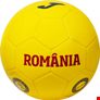 Minge FRF Romania Replica